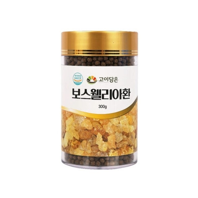 고이 이미지