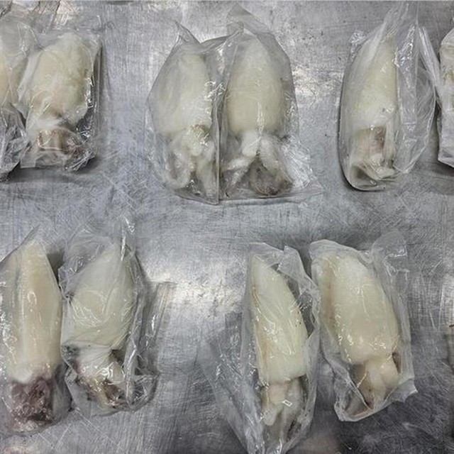 오텀 이미지