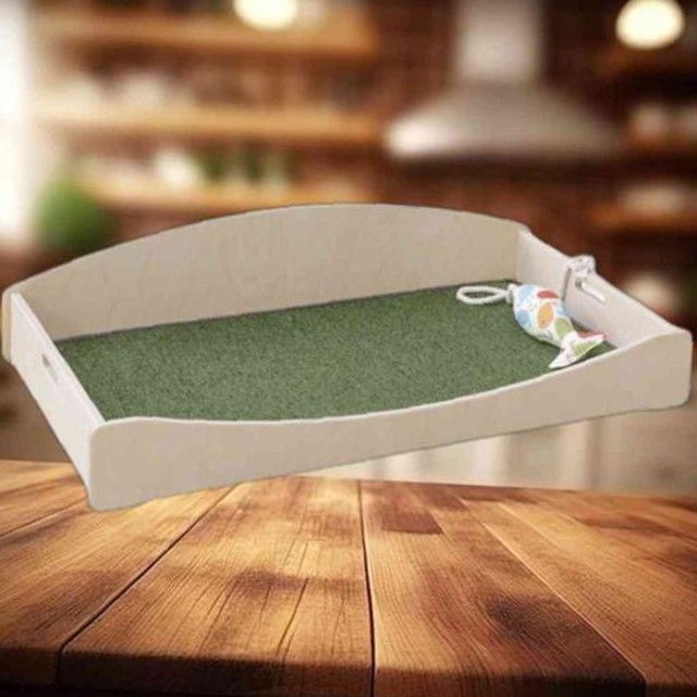 반하리 이미지