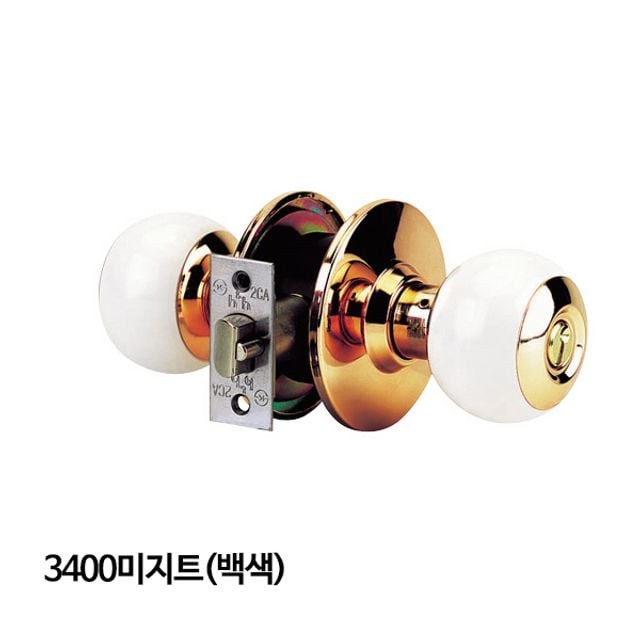 미지트 이미지