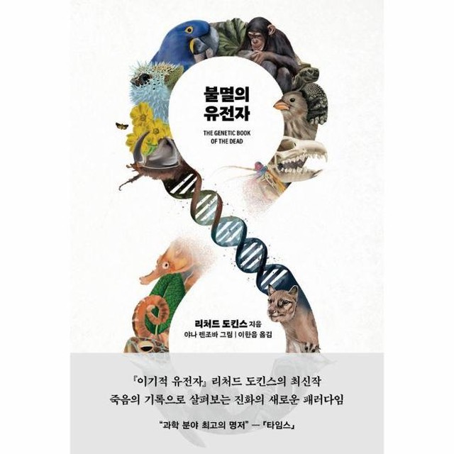 불멸 이미지