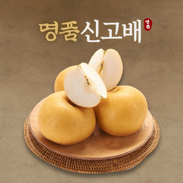 신선 이미지