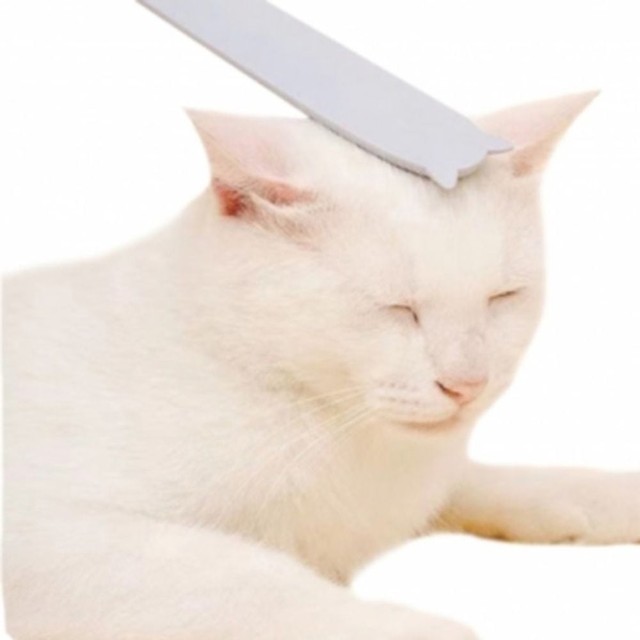 티티스마일 이미지