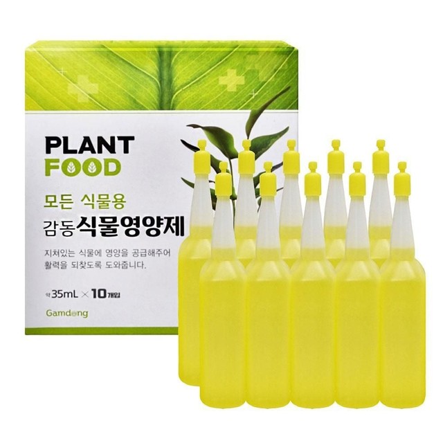 식물A 이미지
