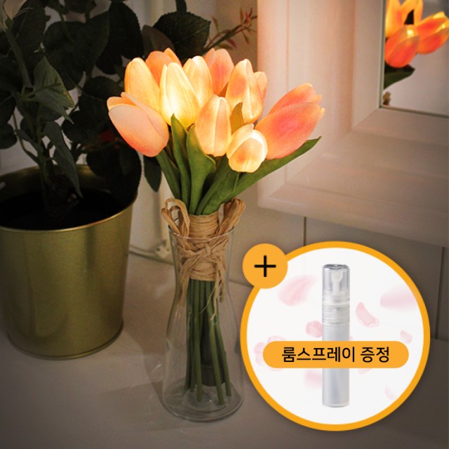 비아 이미지