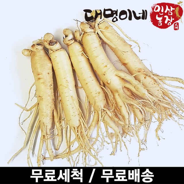 금산인삼영농조합 이미지