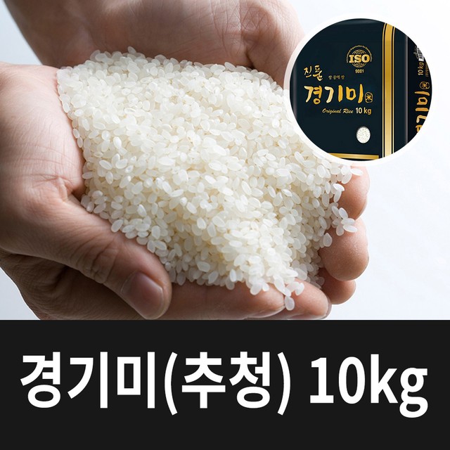 흙애서 이미지