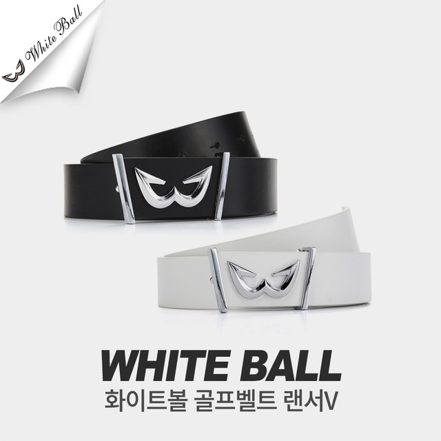 디지지에스 이미지