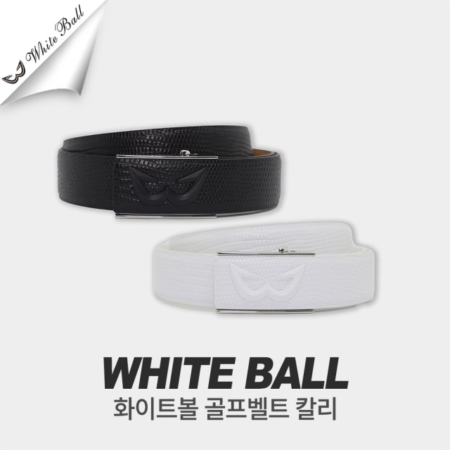 디지지에스 이미지