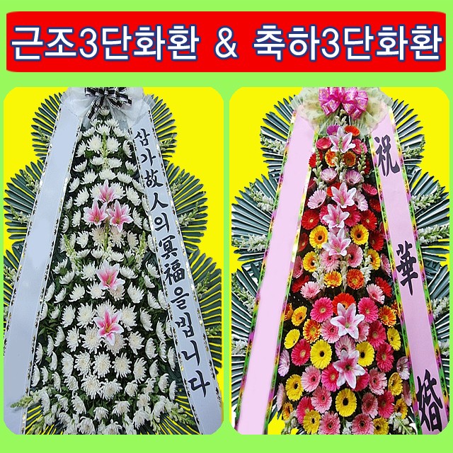 완주꽃배달써비스 이미지