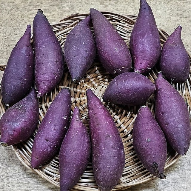 주식회사 일품 이미지