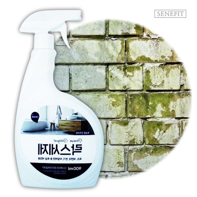 프랜드 이미지