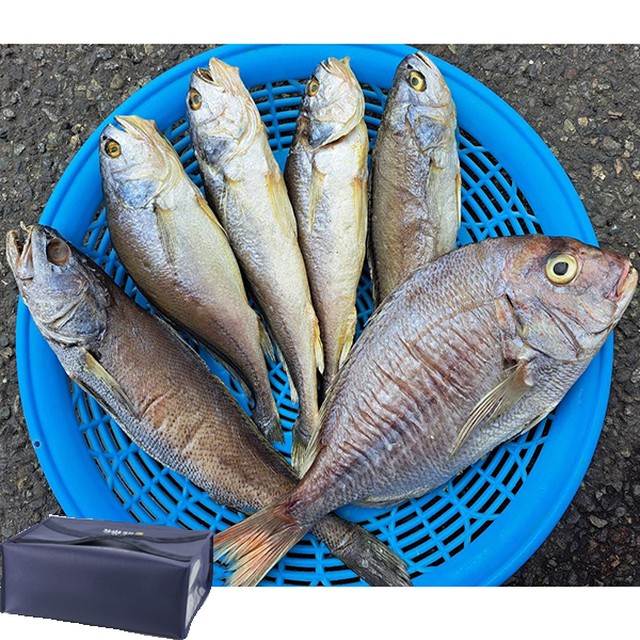 녹동 이미지