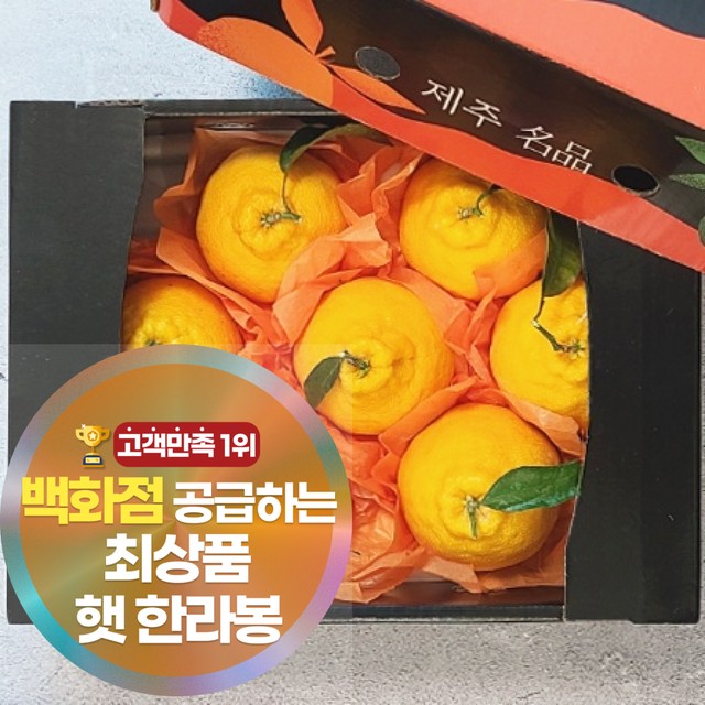 삼시세끼연구소 이미지