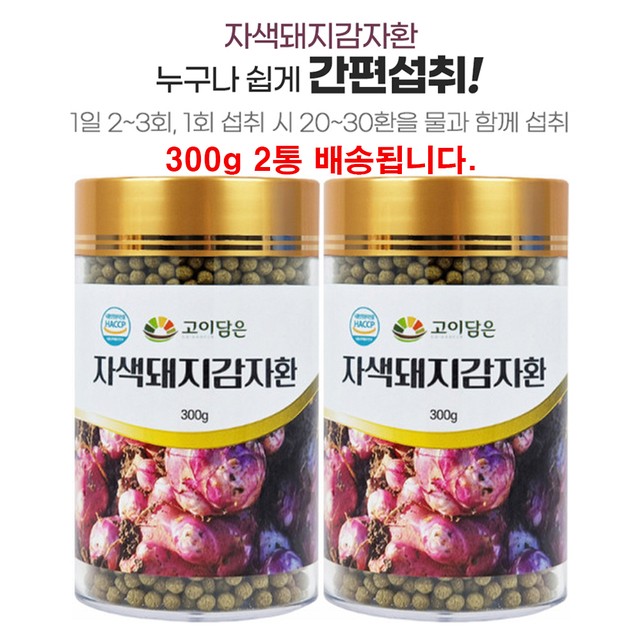 고이 이미지