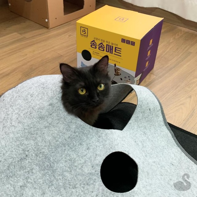 송송몰 이미지