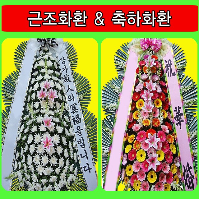 용인제일메디병원 이미지