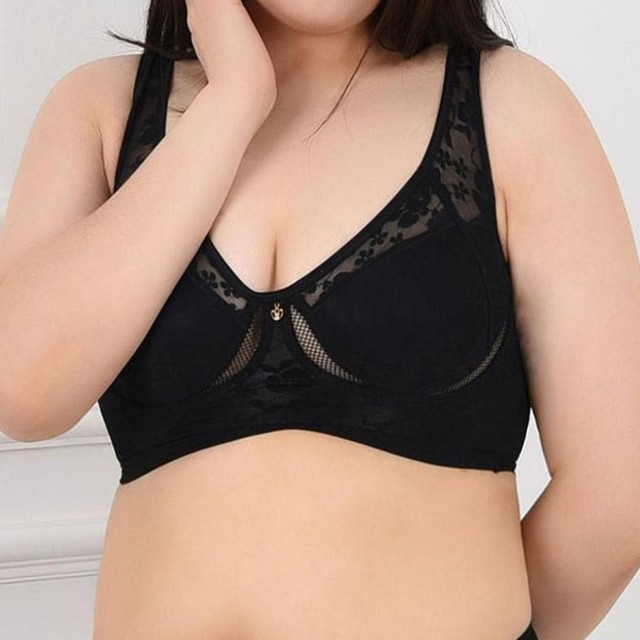 노아 이미지