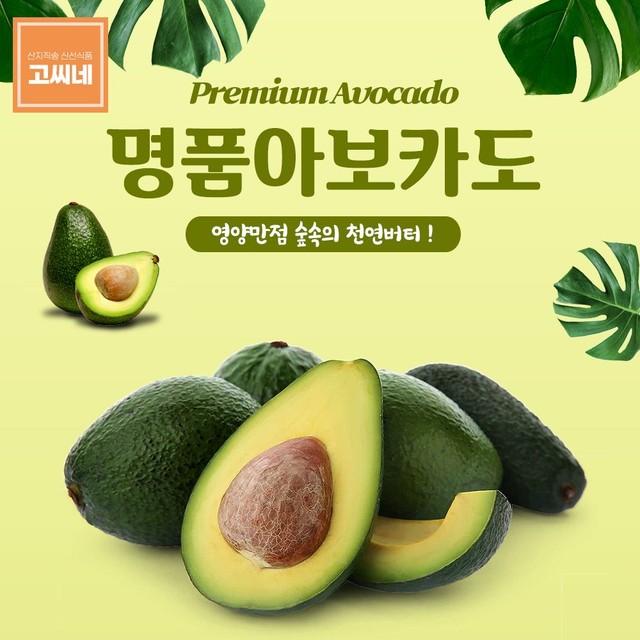 고씨네 이미지