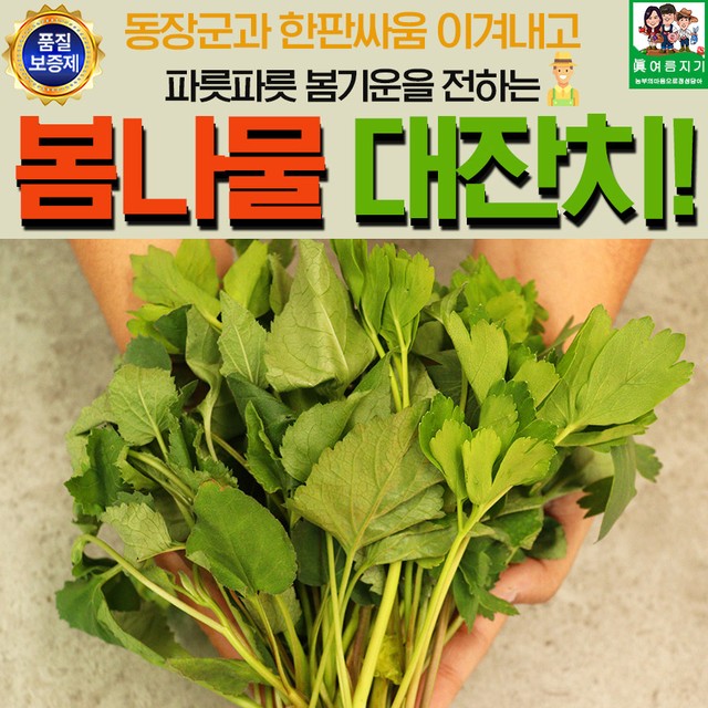 에바다 이미지