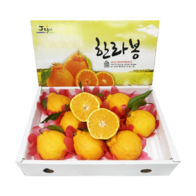 백록담제주특산품 이미지