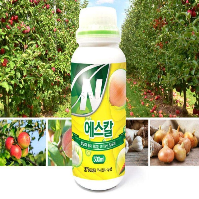 에스칼 이미지