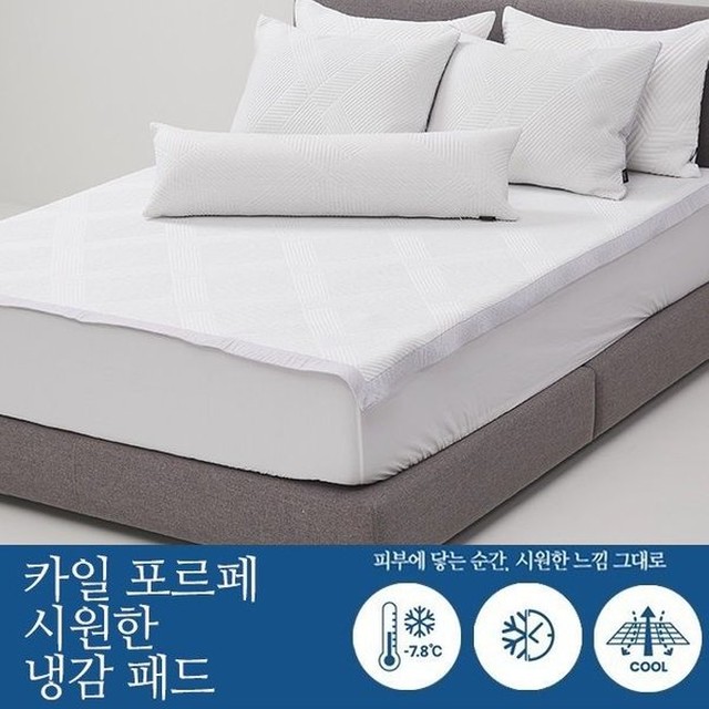 코지네스트 이미지