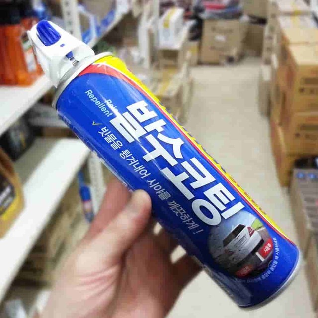 스피드자동차유리 이미지