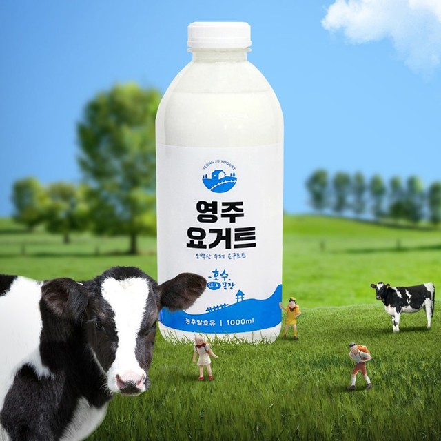 영농조합법인소백밀크 이미지