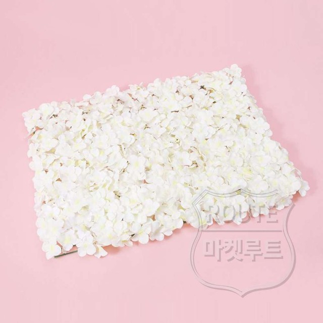 루트플라워 이미지