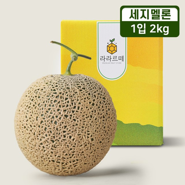 멜론2 이미지