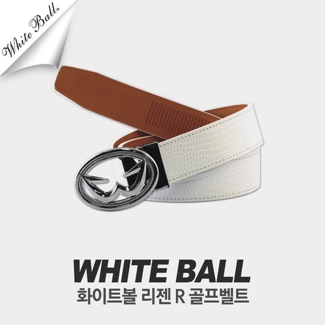 디지지에스 이미지