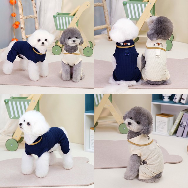 마일로 이미지