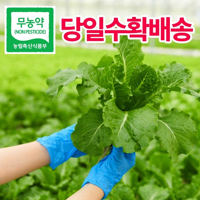 이조은주식회사 이미지
