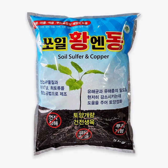 이노 이미지