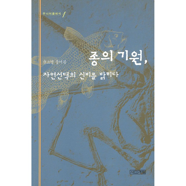 사계절 이미지