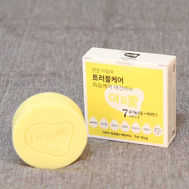 아침애 이미지