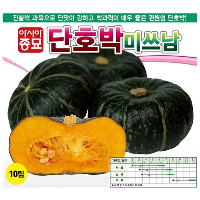 씨앗 이미지