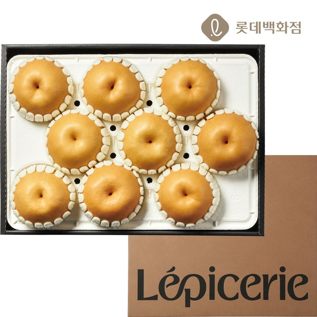 대향 이미지