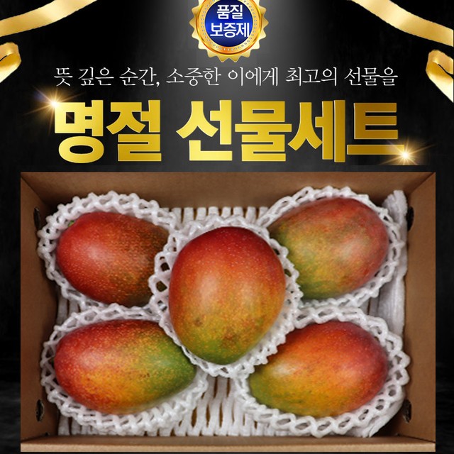 에바다 이미지
