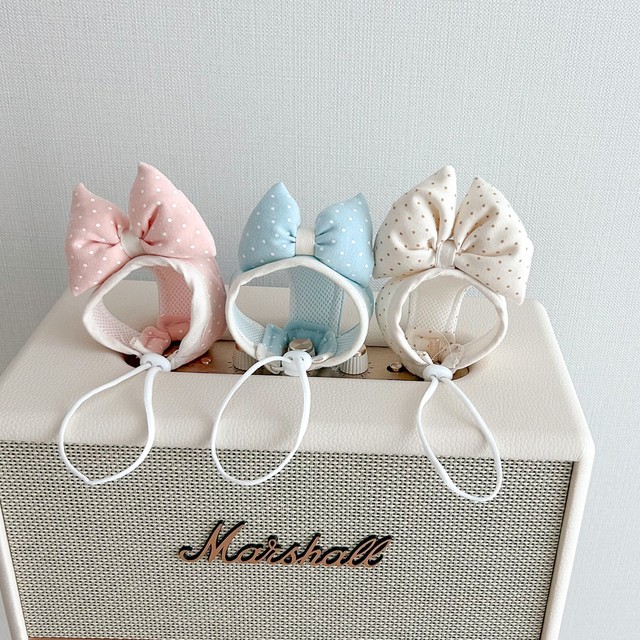 달콩 이미지