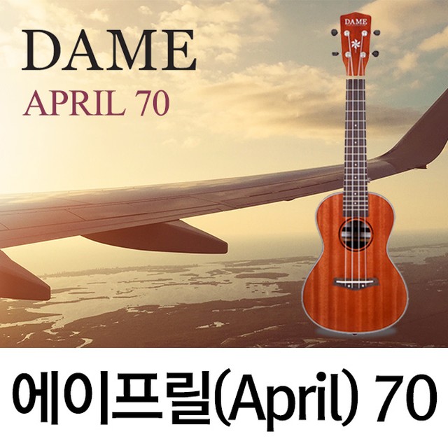 데임 이미지