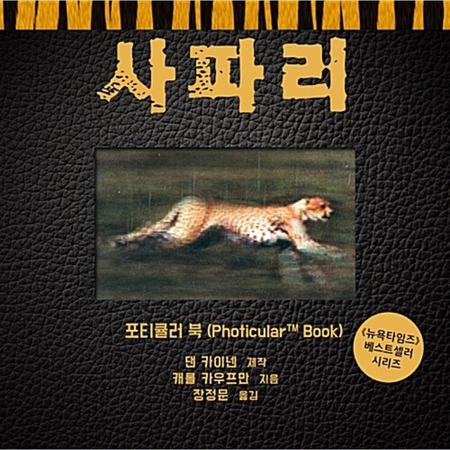 소우주 이미지