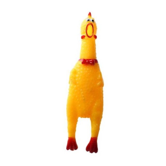 펫스크림 이미지
