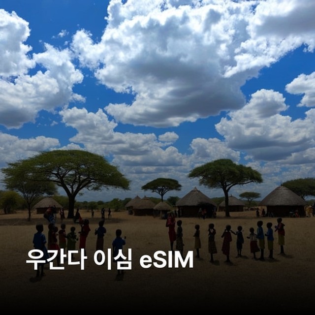 (주)뜨거운청춘 이미지