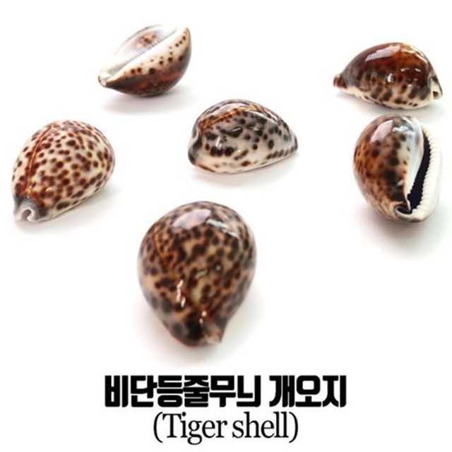 비단 이미지