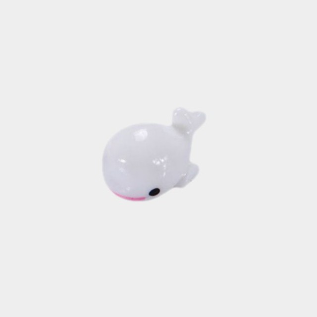 제이에스 이미지