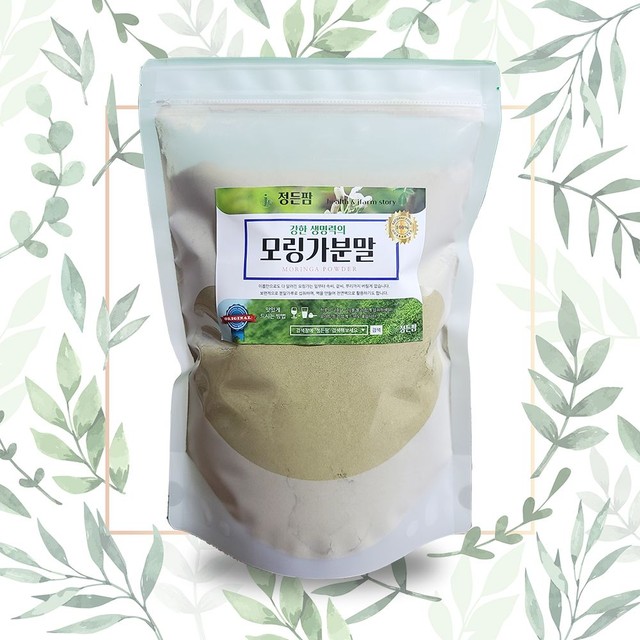 모링가 이미지