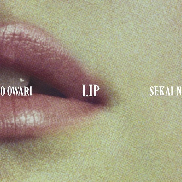 리코프 이미지