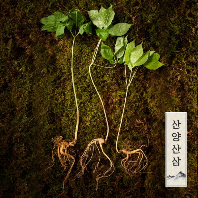 주식회사 일품 이미지
